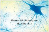 Thema 18: Brainwave 18.2 en 18.3. Zenuwstelsel vs Hormoonstelsel Zenuwstelsel Vervoer via zenuwen Werkt snel, maar kortdurig Hormoonstelsel Hormonen via.