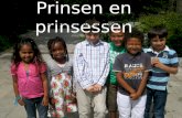 Prinsen en prinsessen Zondagsschoolklas 4 t/m 10 jaar.