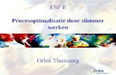 ESF E Procesoptimalisatie door slimmer werken Orbis Thuiszorg.