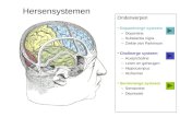 Onderwerpen Dopaminerge systeem –Dopamine –Substantia nigra –Ziekte van Parkinson Cholinerge systeem –Acetylcholine –Leren en geheugen –Hippocampus –Alzheimer.