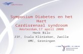Symposium Diabetes en het Hart Cardiorenaal syndroom Amsterdam,17 april 2008 Henk Bilo ZIF, Isala Klinieken, Zwolle UMC, Groningen.
