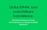 Delta/DMH, een onzichtbare betrokkene. Stichting Werkgroep Derde Merwedehaven en Burgerinitiatief Sliedrecht.