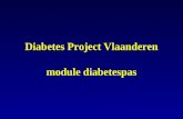 Diabetes Project Vlaanderen module diabetespas. diabetes type 2 vormt een enorm gezondheidsprobleem in België.