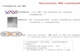 Introductie van DNA Transformatie: vrij DNA: hoe doorheen de celwand/ celmembraan ? Transductie: met viruspartikel: in vitro verpakking noodzakelijk (infectie.