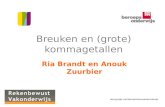 Sites.google.com/site/rekenbewustvakonderwijs Breuken en (grote) kommagetallen Ria Brandt en Anouk Zuurbier.