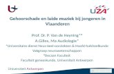 Gehoorschade en luide muziek bij jongeren in Vlaanderen Prof. Dr. P. Van de Heyning*° A.Gilles, Ma Audiologie* *Universitaire dienst Neus-keel-oorziekten.