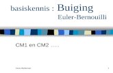 Hans Welleman1 basiskennis : Buiging Euler-Bernouilli CM1 en CM2