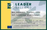 Wat betekent “Europa” voor het Sallandse platteland? Infocentrum Den Nul 13 jan 2012 Mireille Groot Koerkamp Leader coördinator Salland.