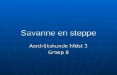 Savanne en steppe Aardrijkskunde hfdst 3 Groep 8.