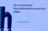 [Hier titel van boek] [Hier plaatje invoegen] 1 van 16 De Individuele Rehabilitatiebenadering (IRB) Hoofdstuk 7.