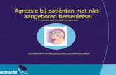 Agressie bij patiënten met niet- aangeboren hersenletsel Prevalentie, aard en patiëntenkenmerken Ada Visscher, Berno van Meijel, Joost Jan Stolker, Jan.