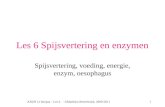 Les 6 Spijsvertering en enzymen Spijsvertering, voeding, energie, enzym, oesophagus ANZN 1e leerjaar - Les 6 - ©Matthieu Berenbroek, 2000-20111.