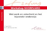 Wet werk en zekerheid en het bijzonder onderwijs 17 april 2014 Mr. E. (Elmira) van Vliet Workshop NVOR/VARO.