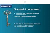 Diversiteit in loopbanen Valkuilen in het traditionele en nieuwe loopbaandenken Naar een inclusief loopbaandenken Dr. Koen Van Laer, Universiteit Hasselt.