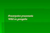 Powerpoint presentatie Wild en gevogelte. Wild is in te delen in 3 soorten  Roodwild  Zwartwild  Haarwild.