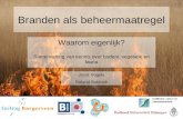 Branden als beheermaatregel Waarom eigenlijk? Samenvatting van kennis over bodem, vegetatie en fauna Joost Vogels Roland Bobbink.