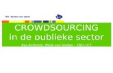 Crowdsourcing in the Public Sector