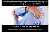 Richtlijn diagnostiek en behandeling van subacromiale pijn