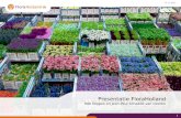 Marketing & Supply Chain FloraHolland for HvA