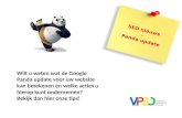 SEO Google Panda update