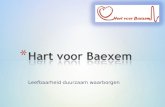 Presentatie Startbijeenkomst "Hart voor Baexem" op 31 maart 2014)