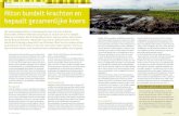 Profilering herstructurering, duurzaamheid en samenwerking  stivas magazine nr. 16