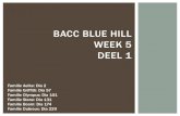 Bacc Blue Hill week 5 deel 1