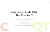 Zorgpaden in de GGZ: the X-Factor!?