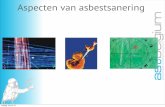 Aspecten van asbestverwijdering AST Belgium