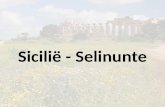 Sicilië Selinunte
