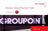 Sheetrapportage groupon