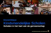 Children Friendly Schools (Nederlands)