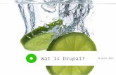 Wat is Drupal? Over Drupal in musea