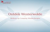 Ontdek westerwolde bij Camping Wedderbergen