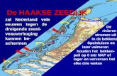 Haakse Zeedijk - Intro Presentatie