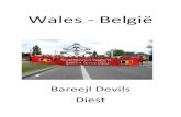 wales   belgie