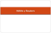 WANs y Routers