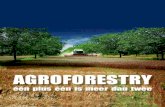 Agroforestry Brochure