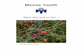 Mensa Youth Brochure