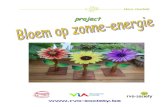 Project Bloem Op Zonne-Energie