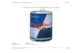 Ad Vies Rapport Red Bull Site