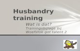 Woestok got Talent bijlage bij  PP nr 2 - husbandrytraining