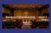 2012 06 28 Europees Modellenrecht