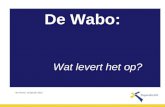 Presentatie WABO-coördinator Papendrecht