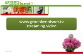 Streaming Video 20100120