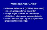 Mexicaanse Griep