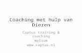 Coaching Met Hulp Van Dieren Ppt