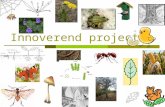 Innoverend Project