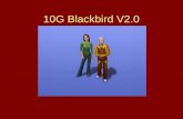 10g Blackbird V2.0 Chapter 1.0