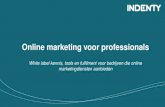 Indenty - Online marketing voor professionals